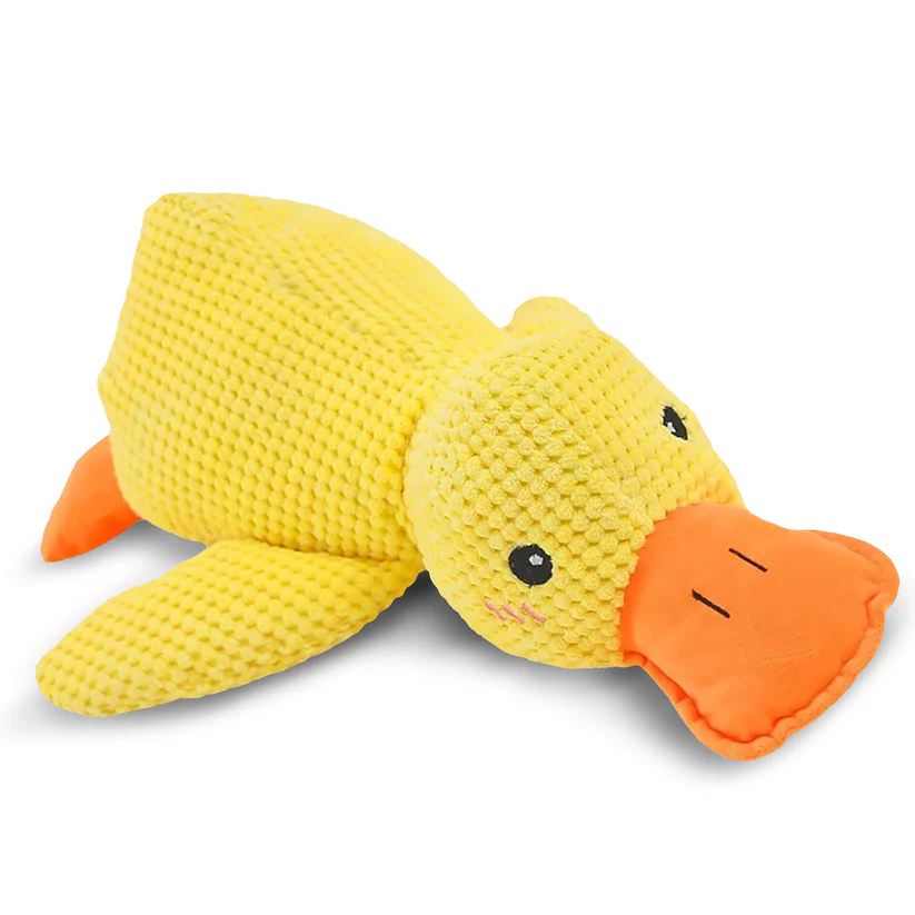 The Calm Pet | The Anxiety-Relief Toy Dogs Can’t Destroy