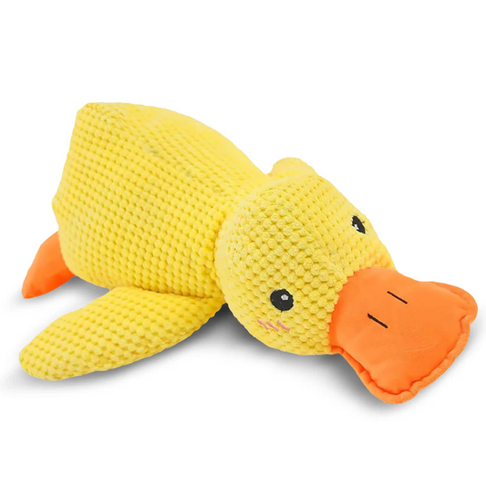 The Calm Pet: The Anxiety Relief Toy Dogs Can’t Destroy