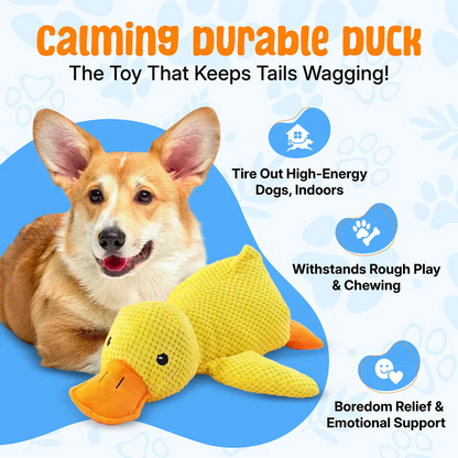 The Calm Pet | The Anxiety-Relief Toy Dogs Can’t Destroy