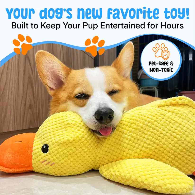 The Calm Pet | The Anxiety-Relief Toy Dogs Can’t Destroy