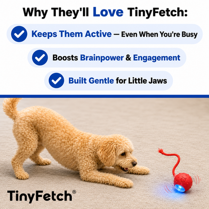 Tinyfetch™