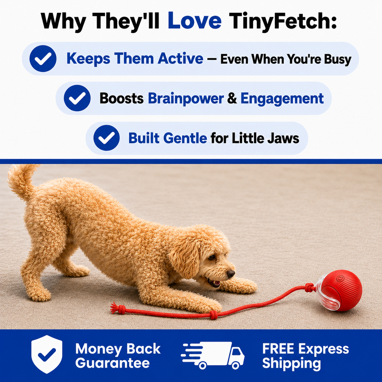 Tinyfetch™