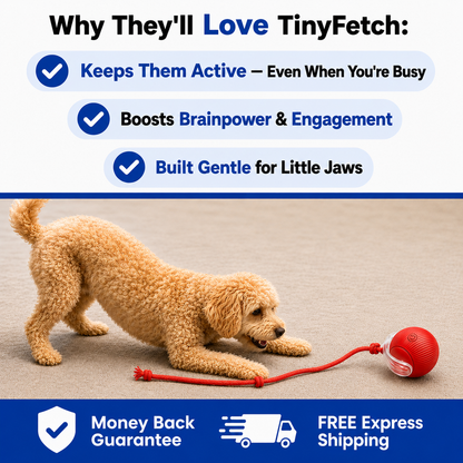 Tinyfetch™