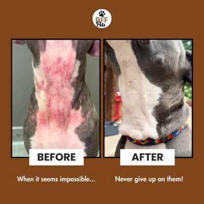 Deodorizing Cat & Dog Grooming Glove Wipes