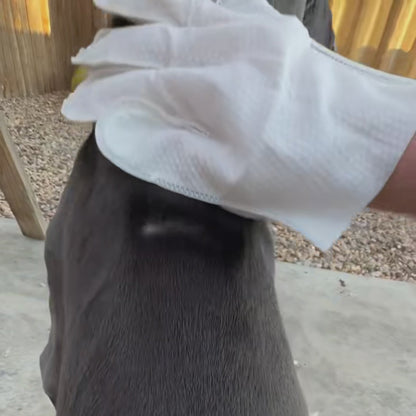 Deodorizing Cat & Dog Grooming Glove Wipes